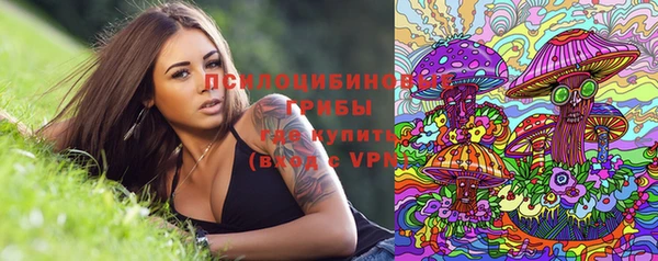 винт Богданович