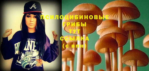 ГАЛЛЮЦИНОГЕННЫЕ ГРИБЫ Бородино