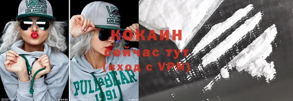 ГАЛЛЮЦИНОГЕННЫЕ ГРИБЫ Бородино