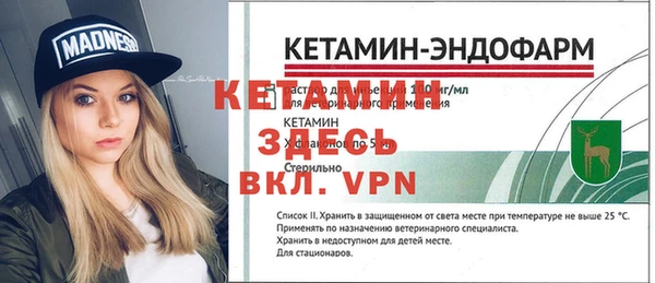 ГАЛЛЮЦИНОГЕННЫЕ ГРИБЫ Бородино
